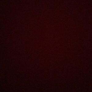 Meet your Posher, Daisy